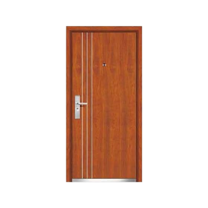 DR-308 Armored Door
