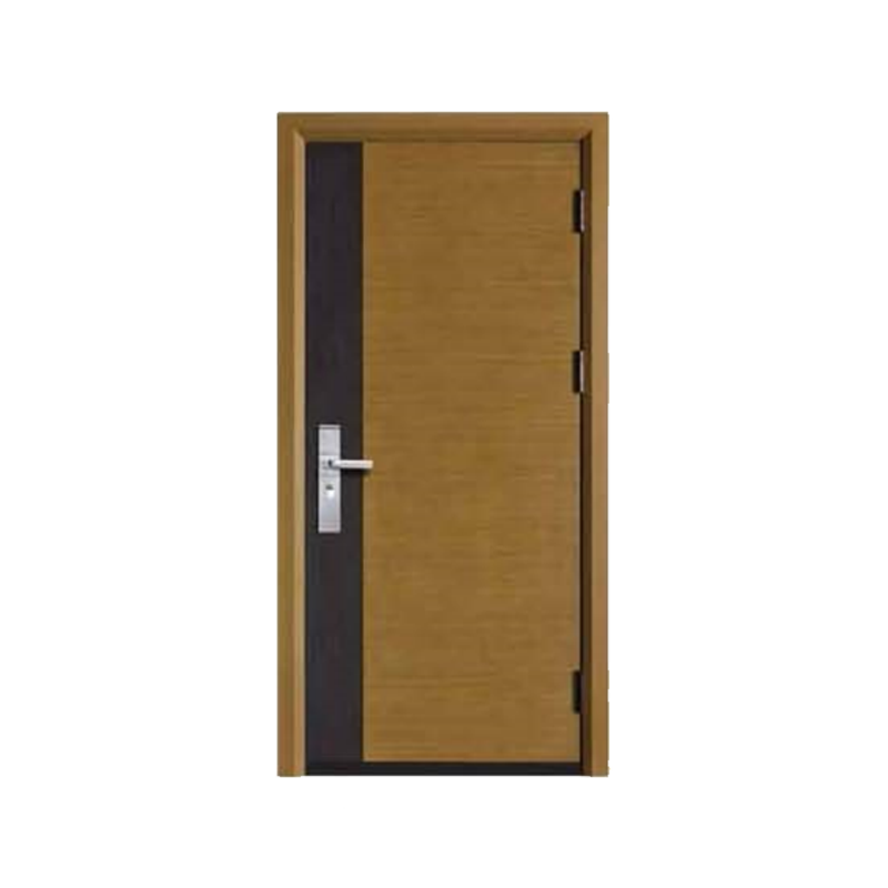 DR-310 Armored Door