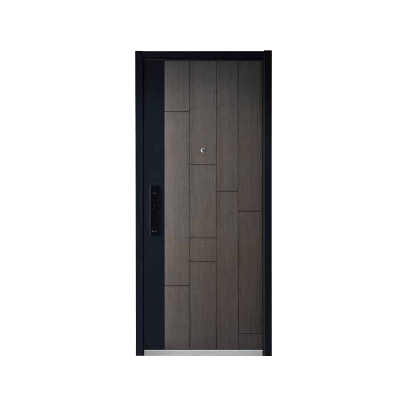 DR-301 Armored Door