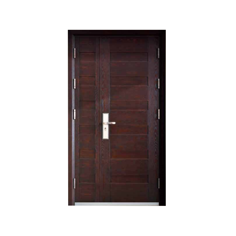 DR-501 Armored Door